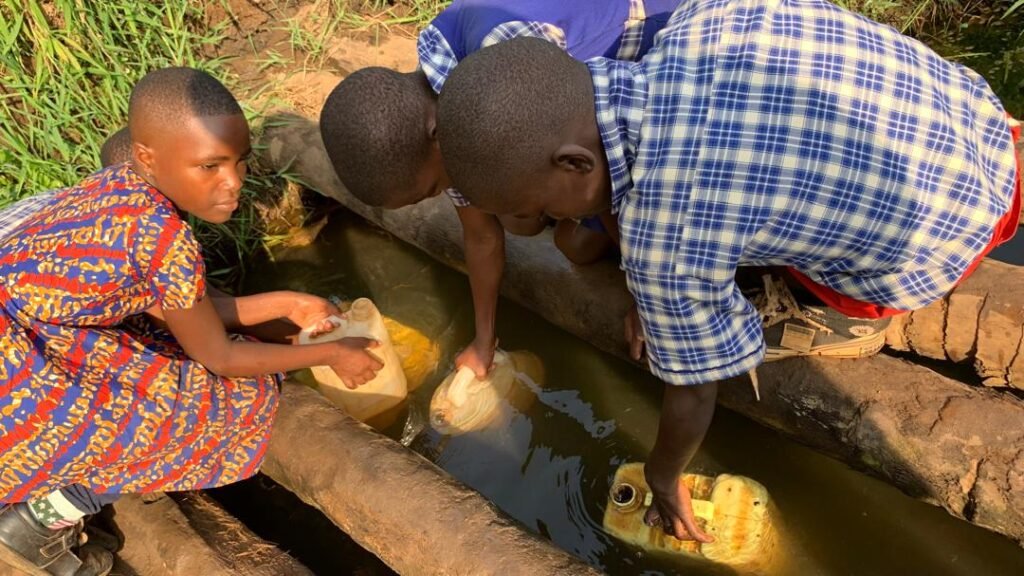 IMG-20250307-WA0018-3